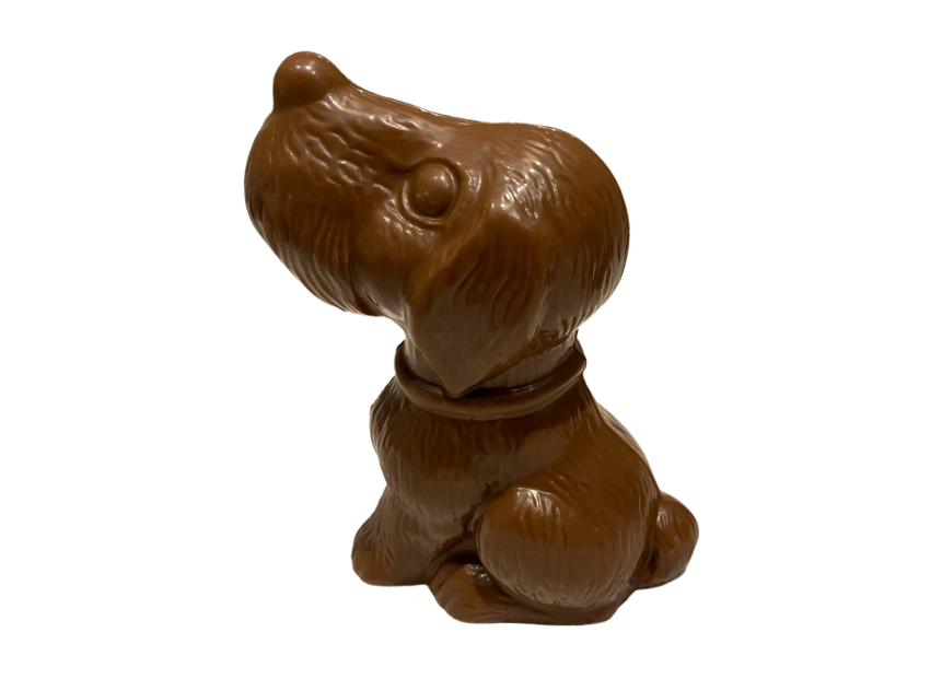 Hond