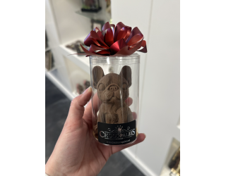 Franse bulldog (massief)