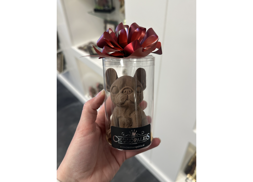 Franse bulldog (massief)