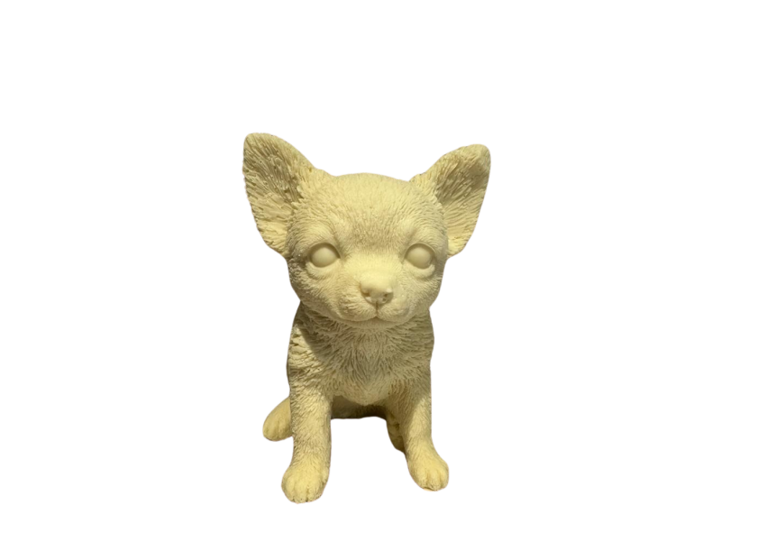 Chihuahua (massief)