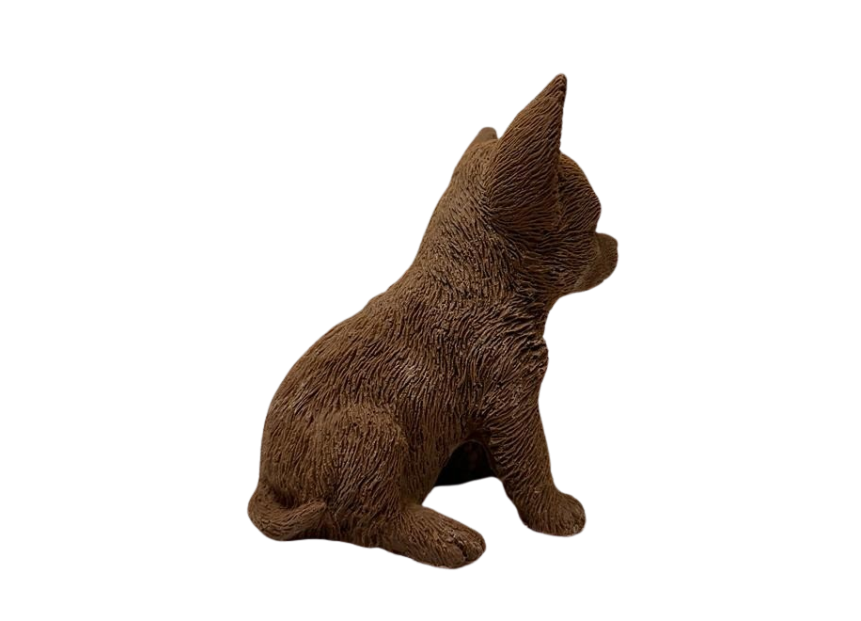 Chihuahua (massief)