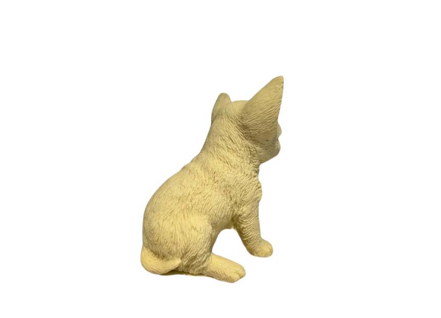 Chihuahua (massief)